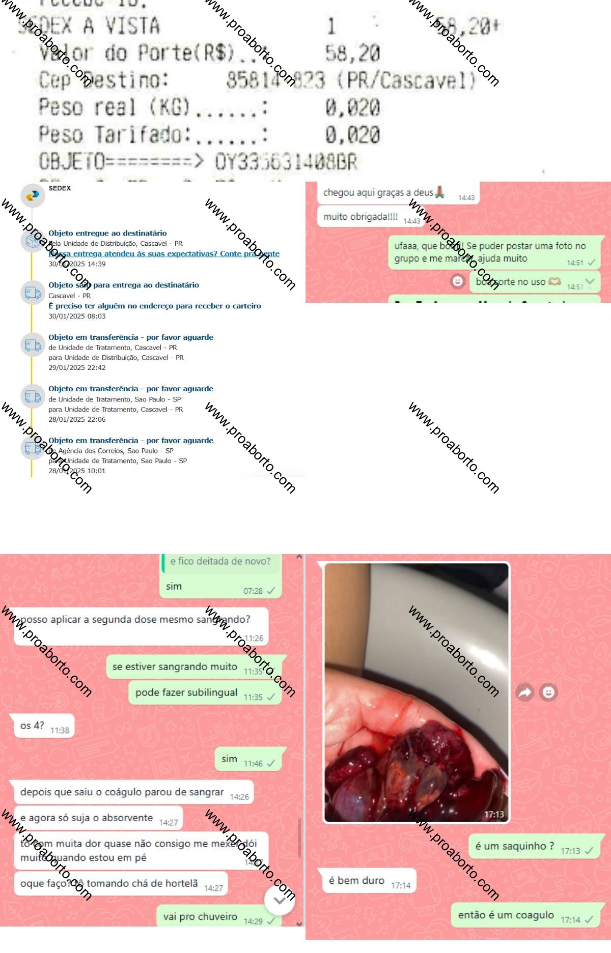 Imagem de Remédio para menstruação descer urgente aqui Sud Mennucci São Paulo