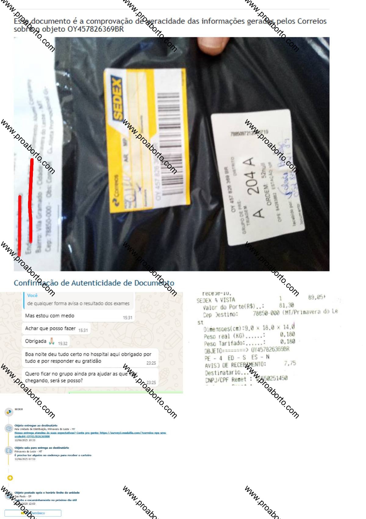Imagem de Cytotec abortivo aqui Quilombo Santa Catarina